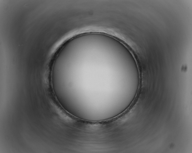X0000101481502200807141403