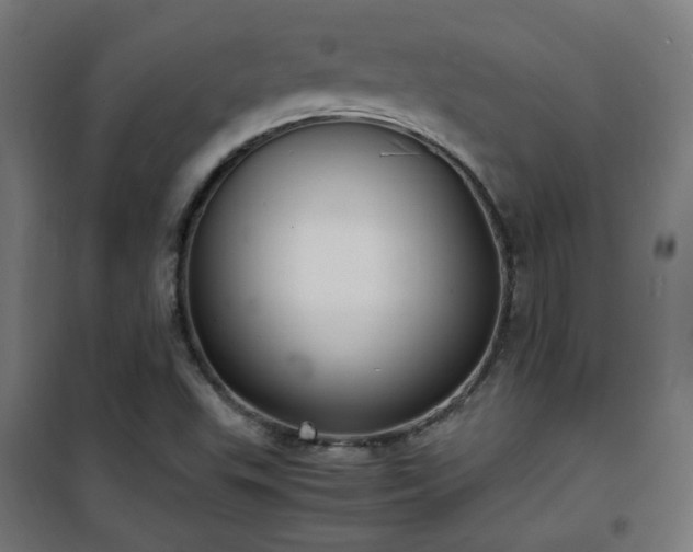 X0000101481503200807141403