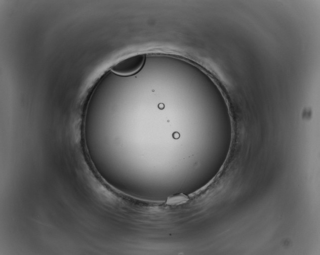 X0000101481504200807141403