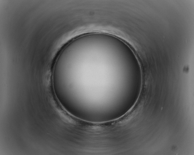 X0000101481507200807141403