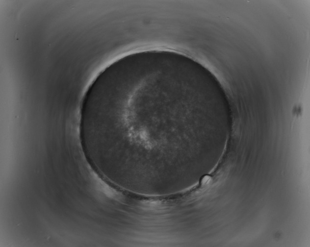 X0000101481508200807141403