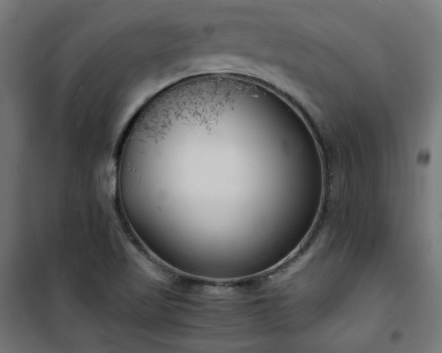 X0000101481509200807141403