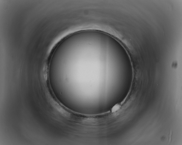 X0000101481510200807141403