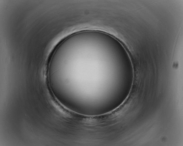 X0000101481511200807141403