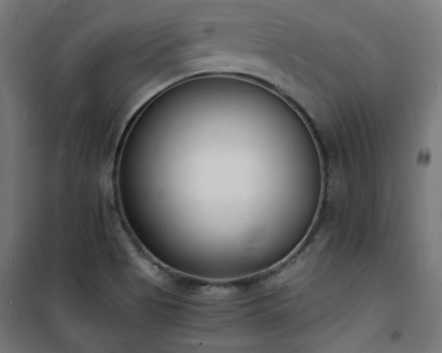 X0000101481513200807141403