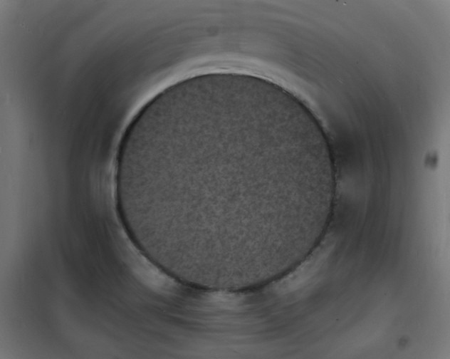 X0000101481514200807141403