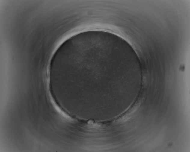X0000101481515200807141403