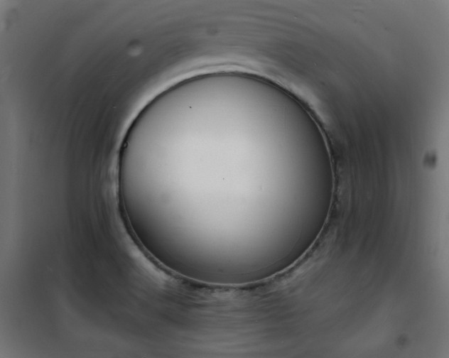 X0000101481516200807141403