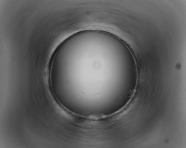 X0000101481517200807141403