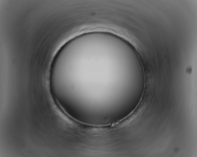 X0000101481518200807141403