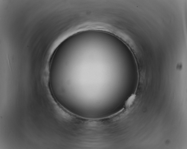 X0000101481520200807141403