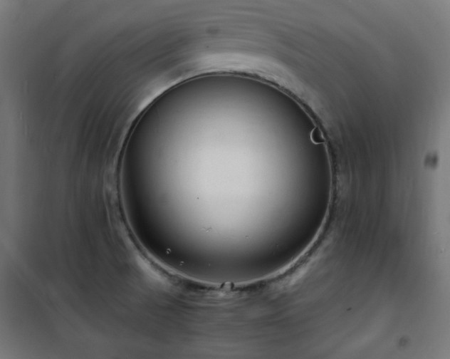 X0000101481521200807141403