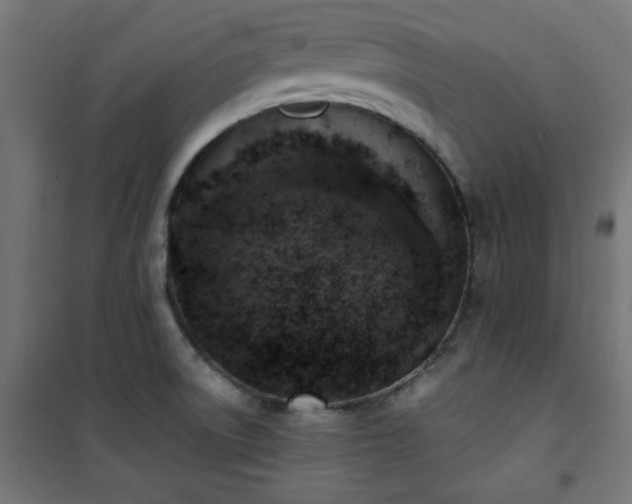 X0000101481522200807141403