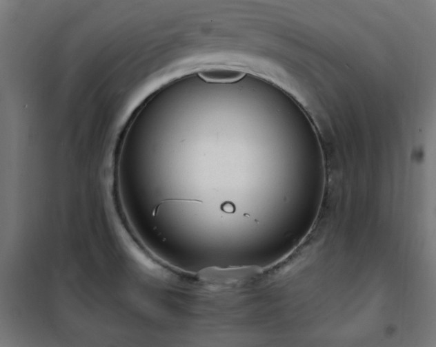 X0000101481523200807141403