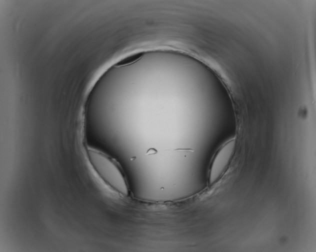 X0000101481524200807141403