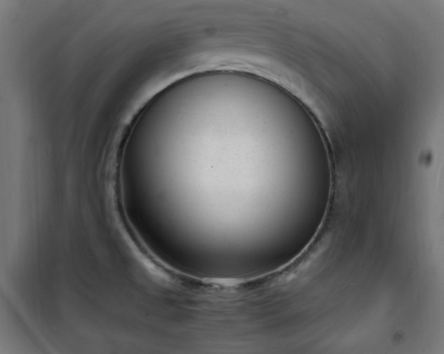 X0000101481525200807141403
