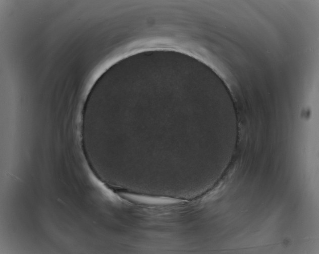 X0000101481527200807141403