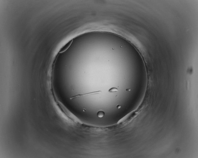 X0000101481528200807141403
