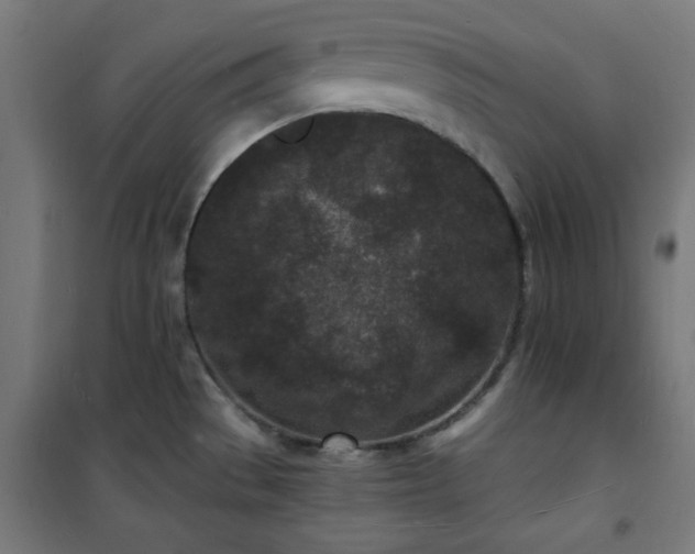 X0000101481529200807141403