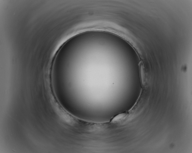 X0000101481530200807141403