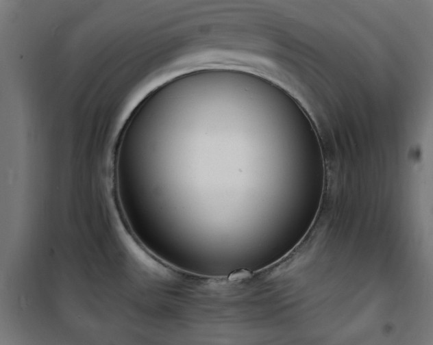 X0000101481531200807141403
