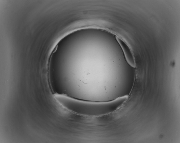 X0000101481532200807141403