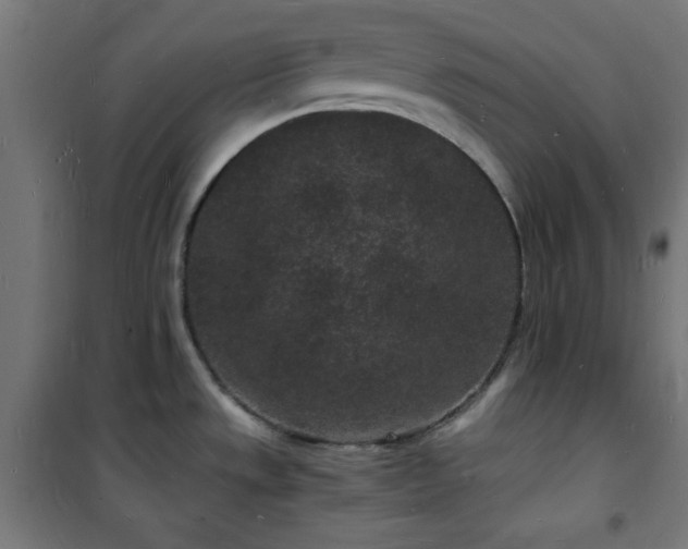 X0000101481533200807141403