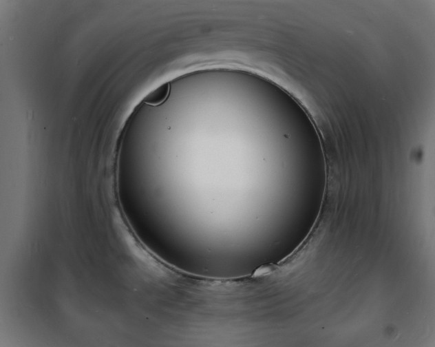X0000101481534200807141403