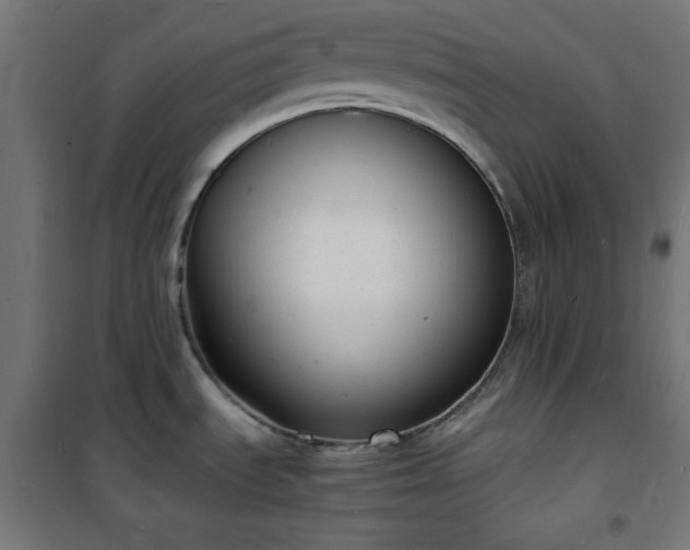 X0000101481535200807141403