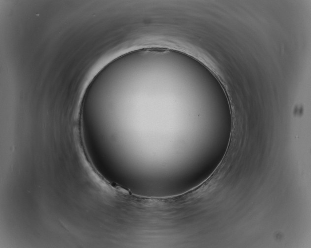 X0000101481536200807141403