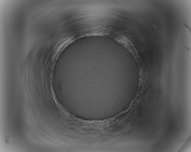 X0000101480001200807211410