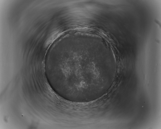 X0000101480002200807211410