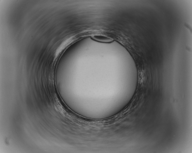 X0000101480004200807211410