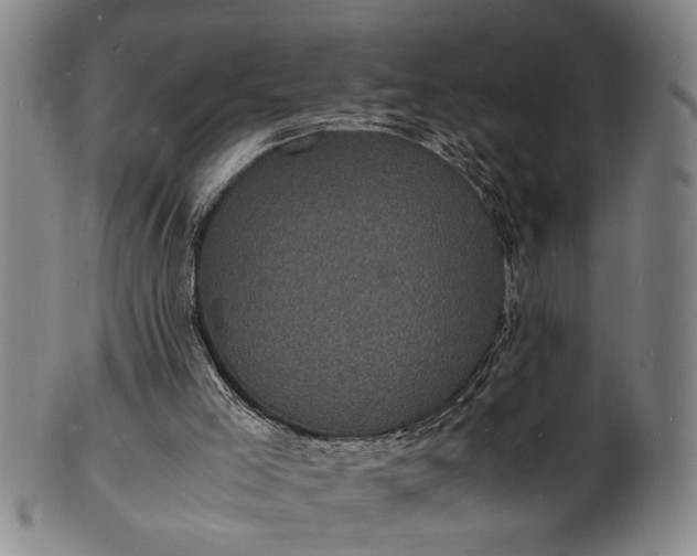 X0000101480005200807211409