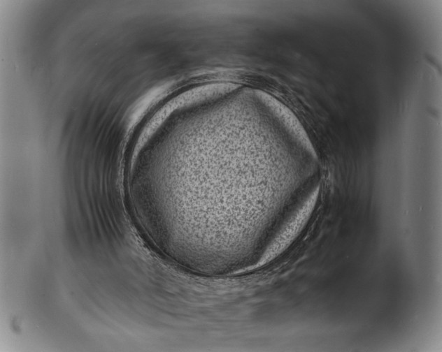 X0000101480006200807211409