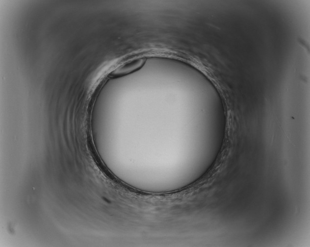 X0000101480007200807211409