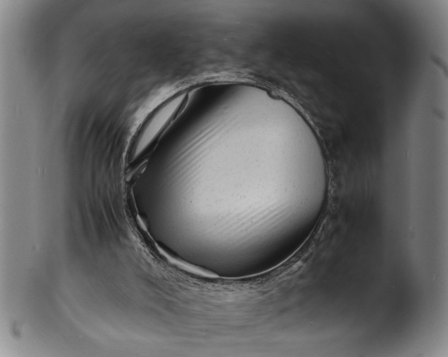 X0000101480008200807211409