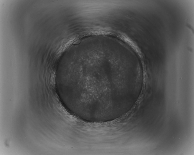 X0000101480009200807211409