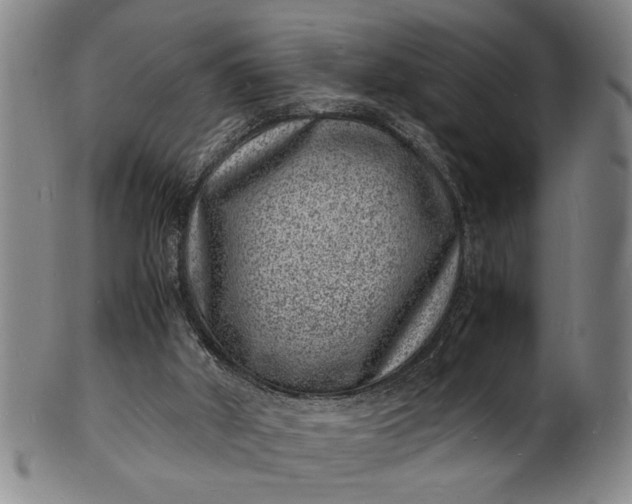 X0000101480010200807211409