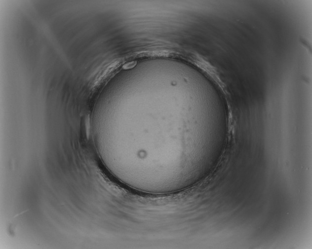 X0000101480013200807211409