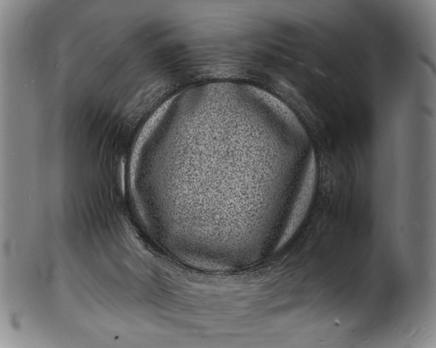 X0000101480014200807211409