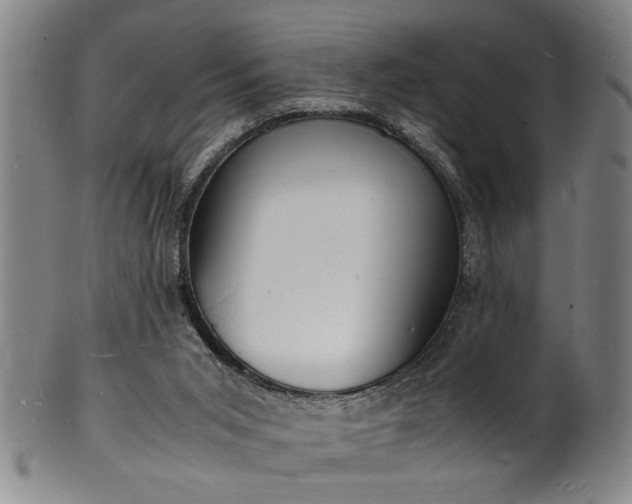 X0000101480015200807211409