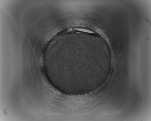 X0000101480017200807211409