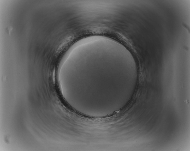 X0000101480019200807211409