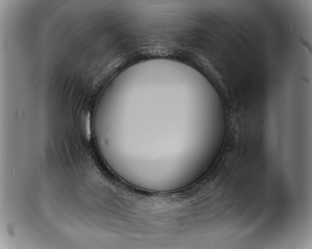 X0000101480020200807211409