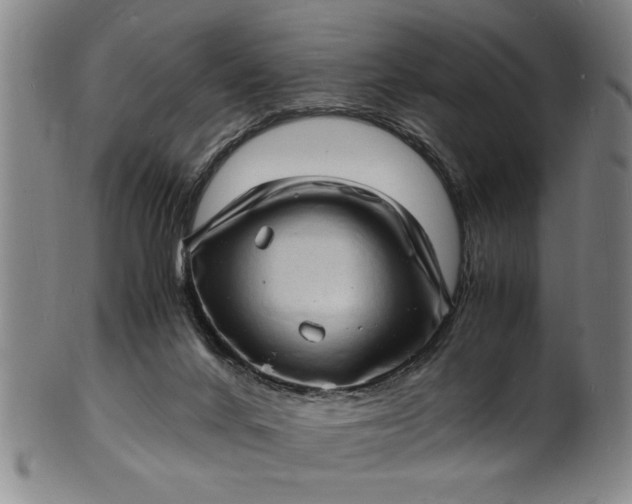 X0000101480024200807211409