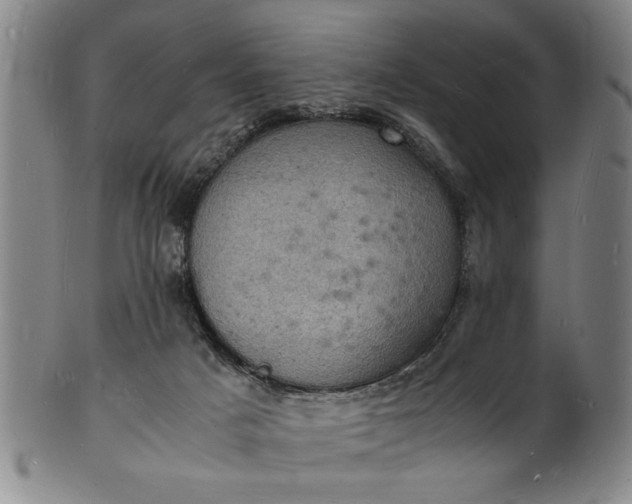 X0000101480025200807211409