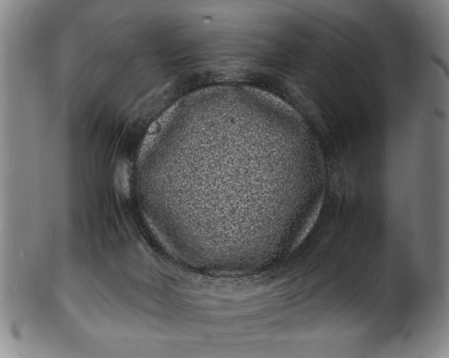 X0000101480026200807211409