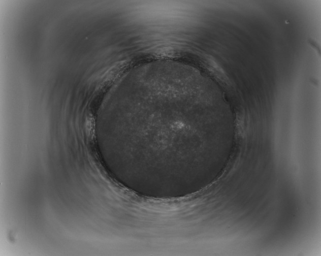 X0000101480029200807211409