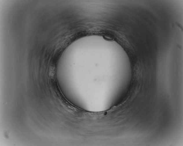 X0000101480033200807211409